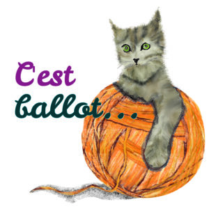 Magnet chaton « C’est ballot ! »